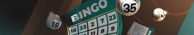 Best bingo at skycity casino